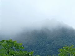 -西岭雪山大飞水景区