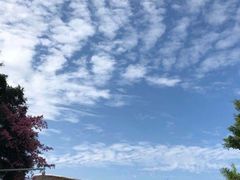 -东莞观音山旅游风景区