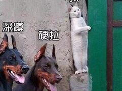 -Nirvana Fitness健身工作室