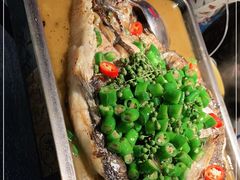 -探鱼·鲜青椒爽麻烤鱼(北京路天河城店)