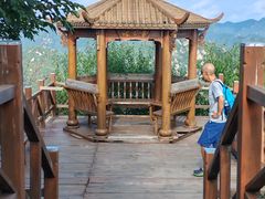 -大岭沟猕猴桃谷风景区