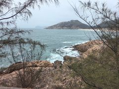 -广东惠东海龟国家级自然保护区