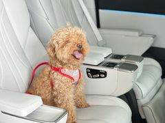 -小鹏汽车体验中心(苏州龙湖狮山天街店)