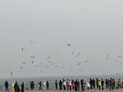 -东港音乐喷泉广场