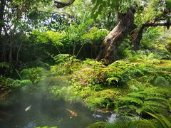 -Chom Cafe and Restaurant