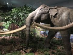 -湖南省地质博物馆