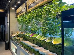 -川骄海鲜自助(亚运村店)