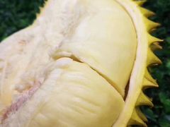 -仲雅水果大卖场(仲雅苑店)