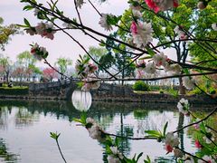 -无锡蠡湖国家湿地公园-蠡园