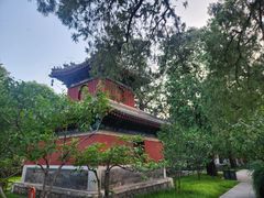 -北京植物园南门售票处