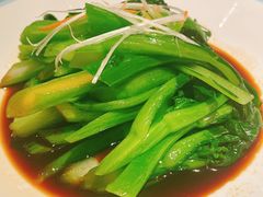 -同庆楼(滨湖万达广场店)
