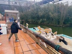 -南京汤山紫清湖生态旅游温泉度假区