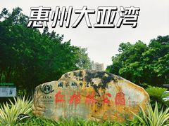 -大亚湾红树林城市湿地公园