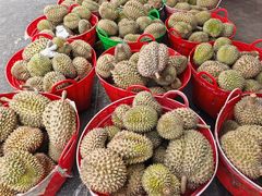 -Ah Hung D24 Sultan Durian