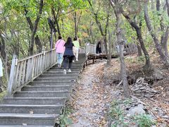 -帽儿山国家森林公园