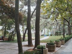 -八大关景区