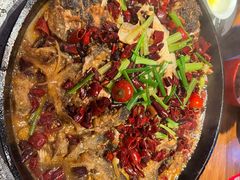 -老板恋上鱼(高新万达店)