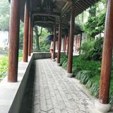 走了很远的路，这次来已经时隔两年