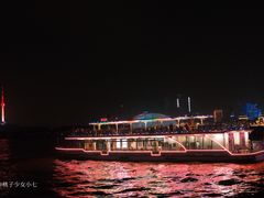 -武汉关码头(轮渡站)