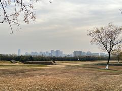 -盘龙城国家考古遗址公园