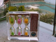 -润园四季椰子鸡火锅(海上世界店)