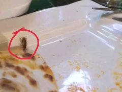 -Cactus墨西哥仙人掌餐厅