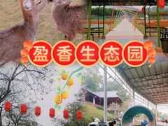 -盈香心动乐园