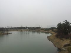 -瑶湖郊野森林公园