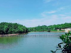 -石燕湖生态旅游景区