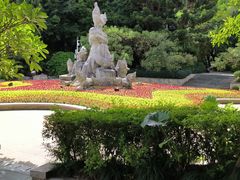 -金鸡山公园