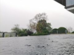 -云里小坐·海泉湾·团建·宴席·下午茶(金堂海泉湾店)