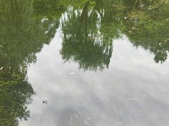 -秋霞圃