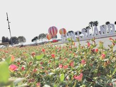 -太阳岛度假酒店