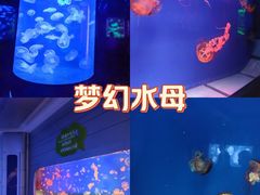 -萌宠奇缘(荣鼎店)