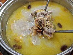 -15年老字号鑫鑫猪肚鸡·椰子鸡海南火锅(兴隆华侨农场店)