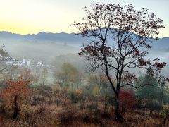 -塔川景区
