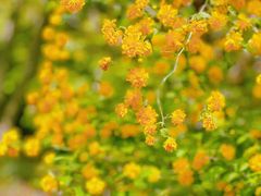 -梁鸿国家湿地公园