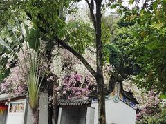 -深圳国际园林花卉博览园