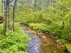 -五营红松林海景区