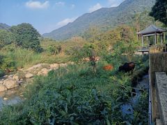 -四会奇石河风景区