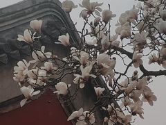 -天坛公园