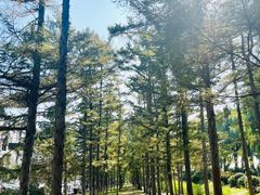 -长春市南湖公园