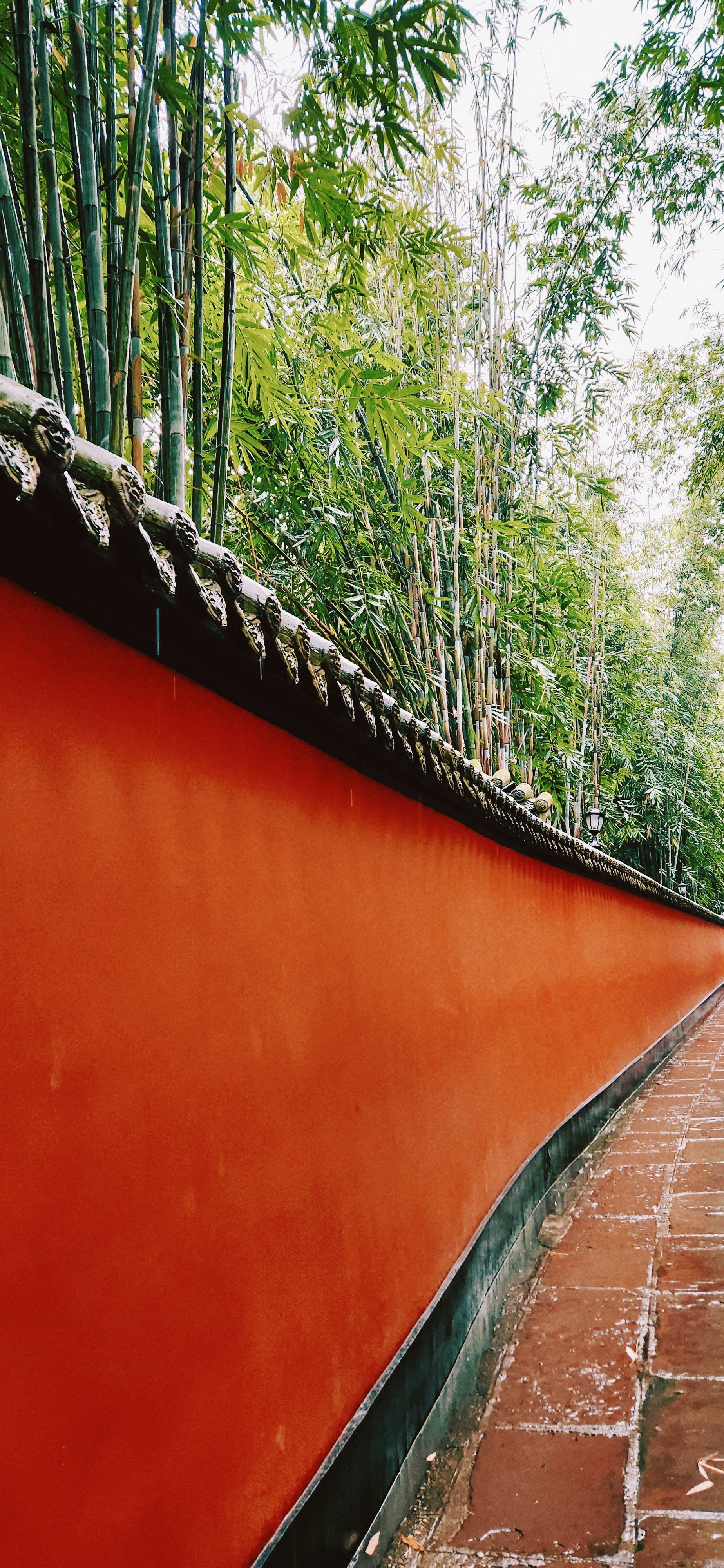 全靠一面红墙的武侯祠