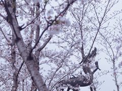 -幕燕滨江·长江观音景区