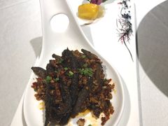 -印象鲵宴·张家界地标美食名片(溪布街店)