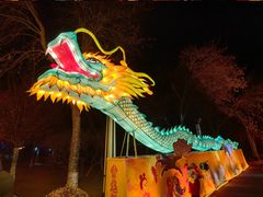 -青龙湖公园