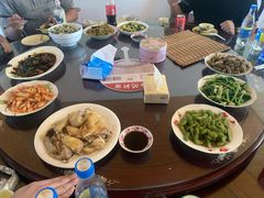 -南汇新场正宗水蜜桃采摘