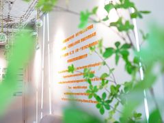 -柠檬国际幼儿园 Bright Academy