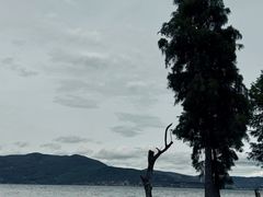 -大理洱海