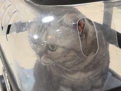 -美联众合动物医院·24h京西诊疗中心